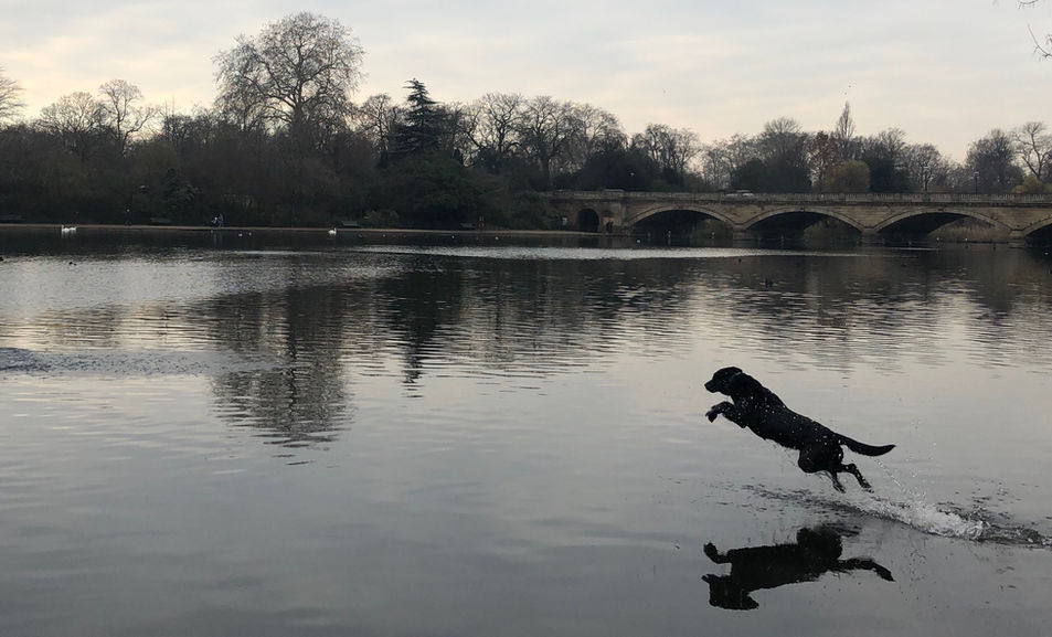 fotografia pro en peru
