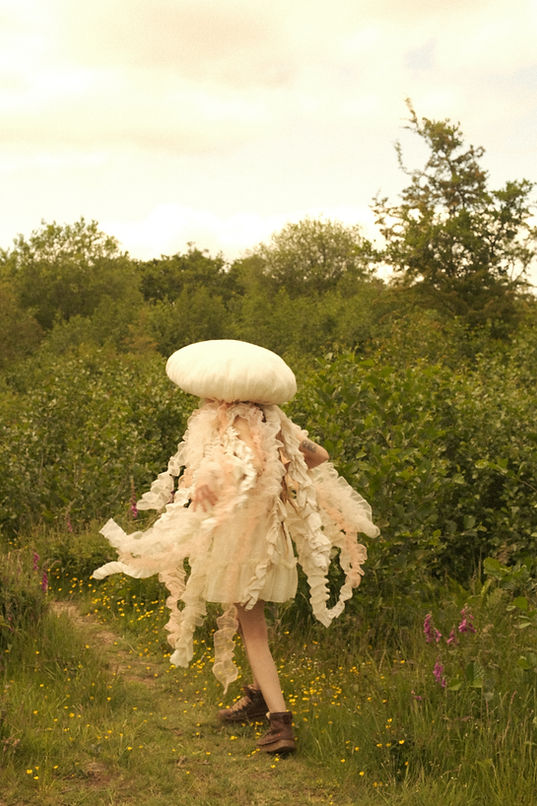 DSCF5590.jpg