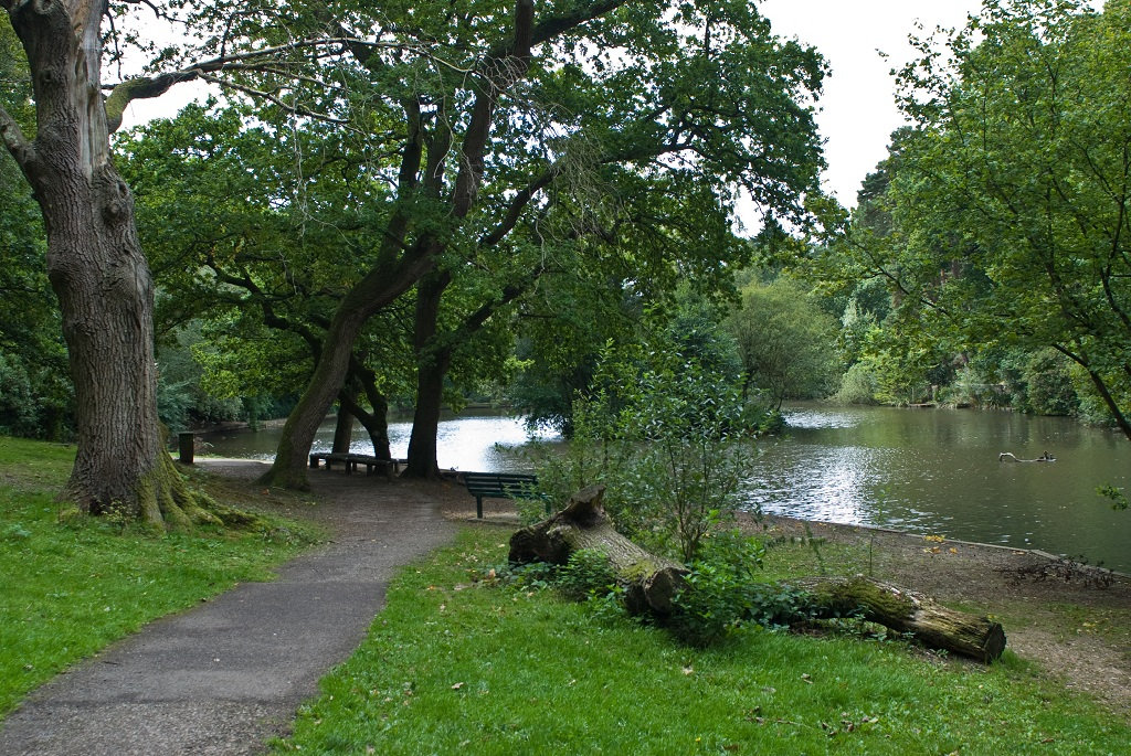 HIltingbury_lake.jpeg