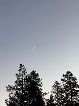 IMG_0312.jpeg