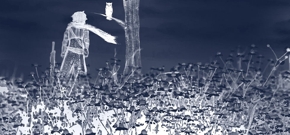 TRANSIÇÃO 2_edited_edited.jpg