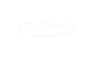 Zishan Logo.png