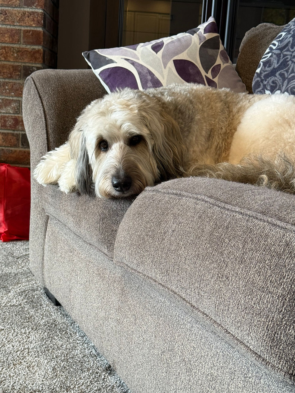 Snickerdoodle Says: Making Space