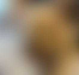 Snickerdoodle Says: There is Always a Way