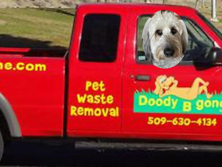 🐶 Fun Friday with Snickerdoodle: Who Moved My... Stuff?