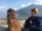 Mit Grisou und mit dem Rücken zur Kamera am Steinstrand vom Lago Maggiore sitzend, im Hintergrund Berge, Wolken und der blaue Himmel