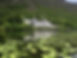 Kylemore Trust