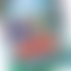 Ranking the “One Piece” Anime Arcs