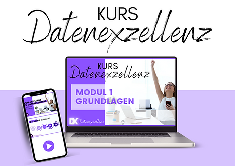 Kurs Datenexzellenz