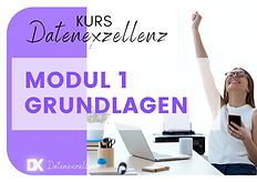 Kurs Datenexzellenz