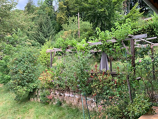 Chambre d'hôtes Abeille Saint-Michel, SAvoie. La pergola.
