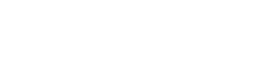Logo-Narayana