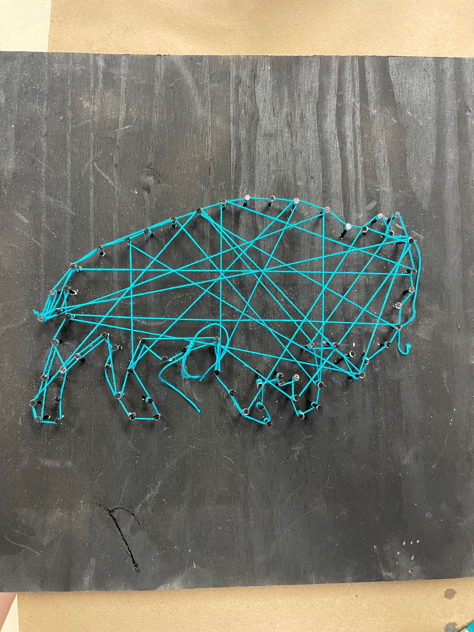 Tween Camp 2026: The Webs We Weave - August 11th - August 14th