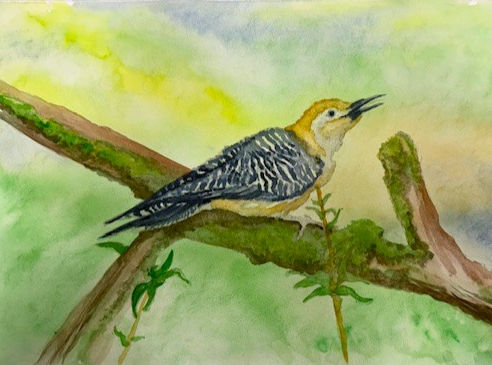 Fall 2 2025 Adult Drawing and Painting- 7 week session