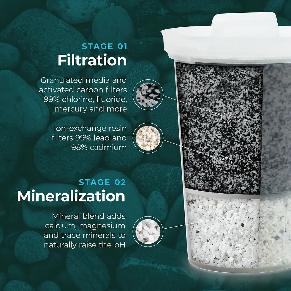 Thumbnail: Santevia Glass Gravity Filtration System Mineralized & Alkaline Water