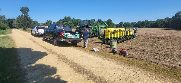 Soybean trials