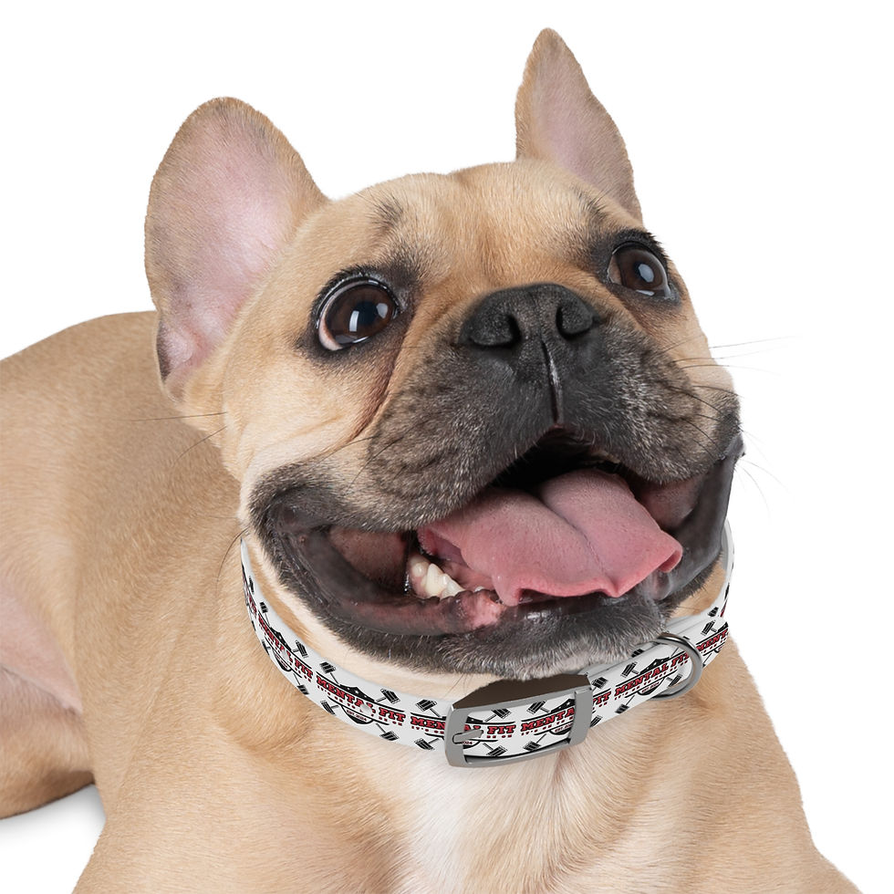 Thumbnail: Mental Fit Dog Collar — Fitness Barbell Pattern Pet Collar