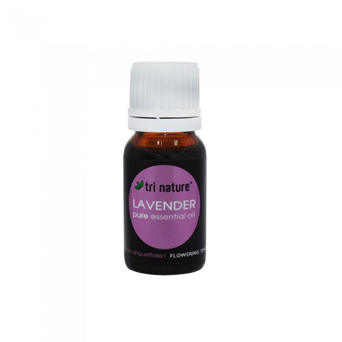 Lavender Essential Oil