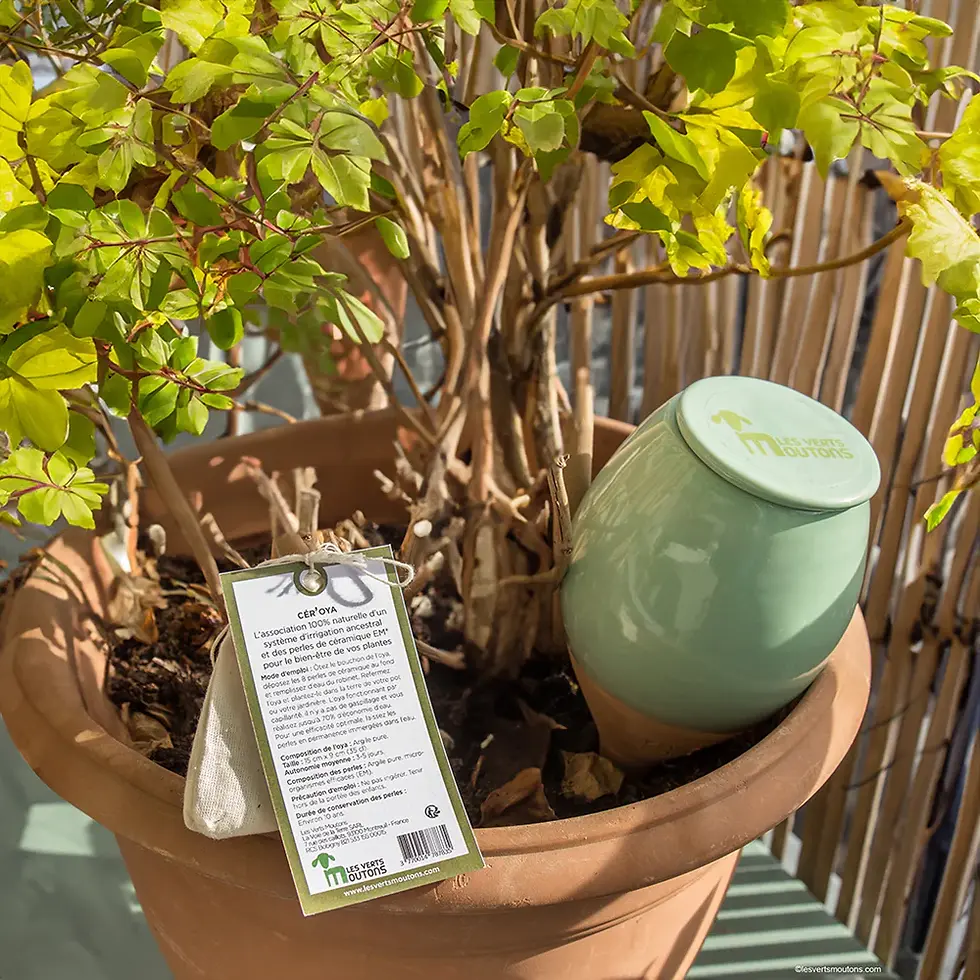 Miniature : Coffret entretien des plantes avec les EM® (micro-organismes bénéfiques)