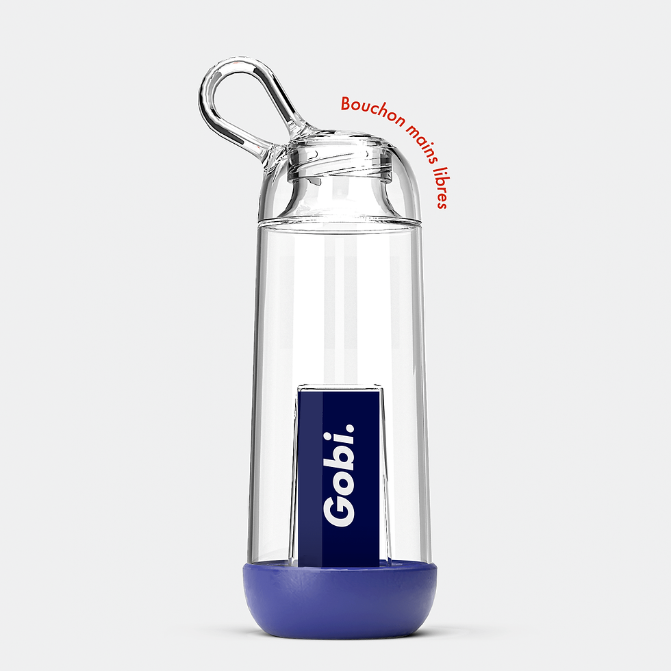 Miniature : Gourde - Contenance : 40 cl - Plusieurs coloris disponibles - Gobi Original