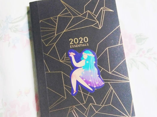 Essentials Planner 2020 by Belle De Jour Review