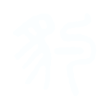 豹.gif