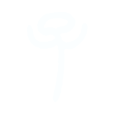 子.gif