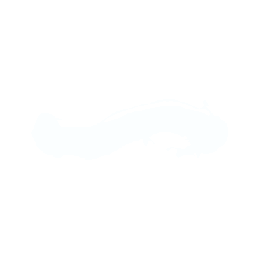 一.gif