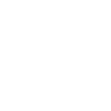 孔.gif