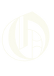 IMG_0900.PNG