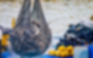 Fishing Net