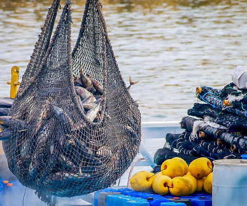 Red de pesca