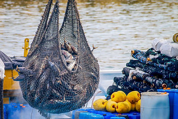 Rede de pesca