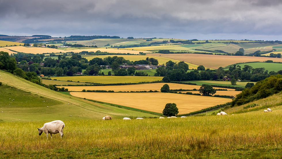 Black Beige Minimalist Neutral Lifestyle Collage Inspo Facebook Cover(2).png