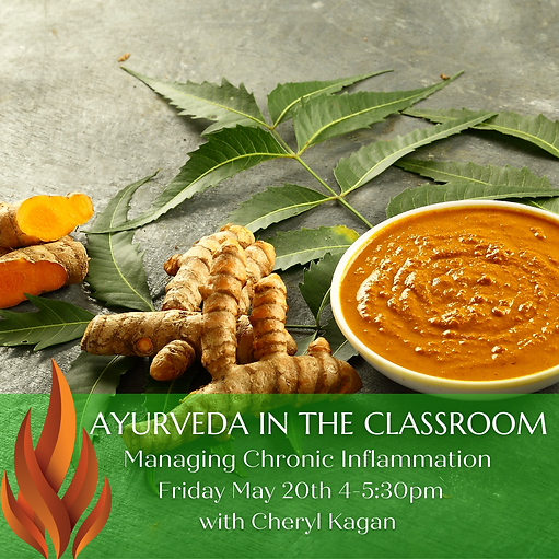 Ayruved in the Classroom (2).png