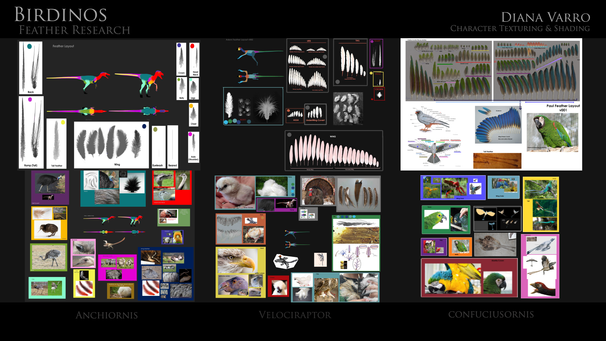 BirdinoPortfolioImages_FeatherResearchDiana.png
