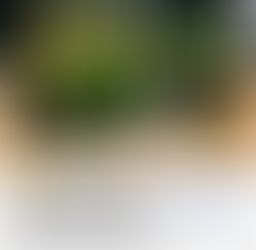 疫情宅在家｜捻花惹草，打造你的秘密小小花園！