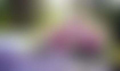 愛，從未離開：天上的雲，人間的思念