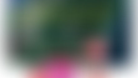 脆，蓋大樓，秀出你家的浪浪