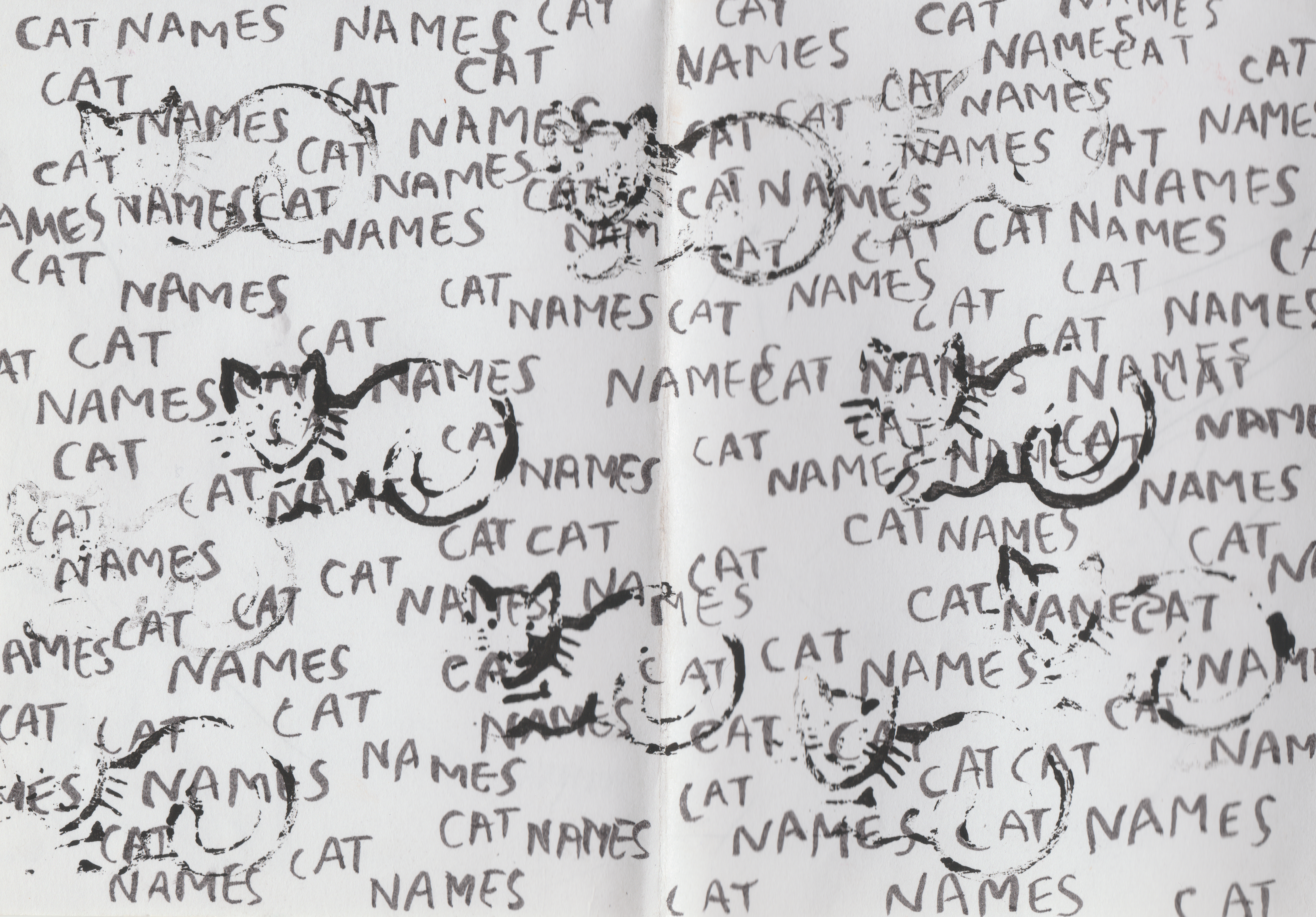 Cat Names