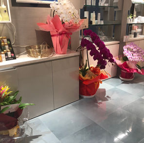 本日初日！無事終わりました(･･;)