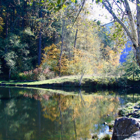 From Shallow Waters Into The Depths