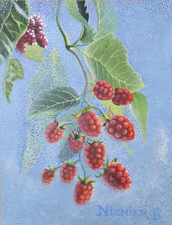 2022 - Berries