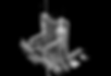 Screenshot 2025-05-22 143438_edited_edited.png