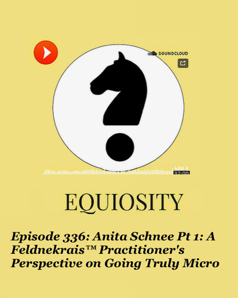 Episode 336: Anita Schnee Pt 1: A Feldenkraisâ„¢ Practitioner's Perspective on Going Truly Micro