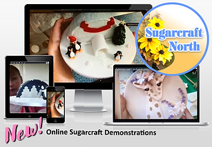 Zoom demonstrations