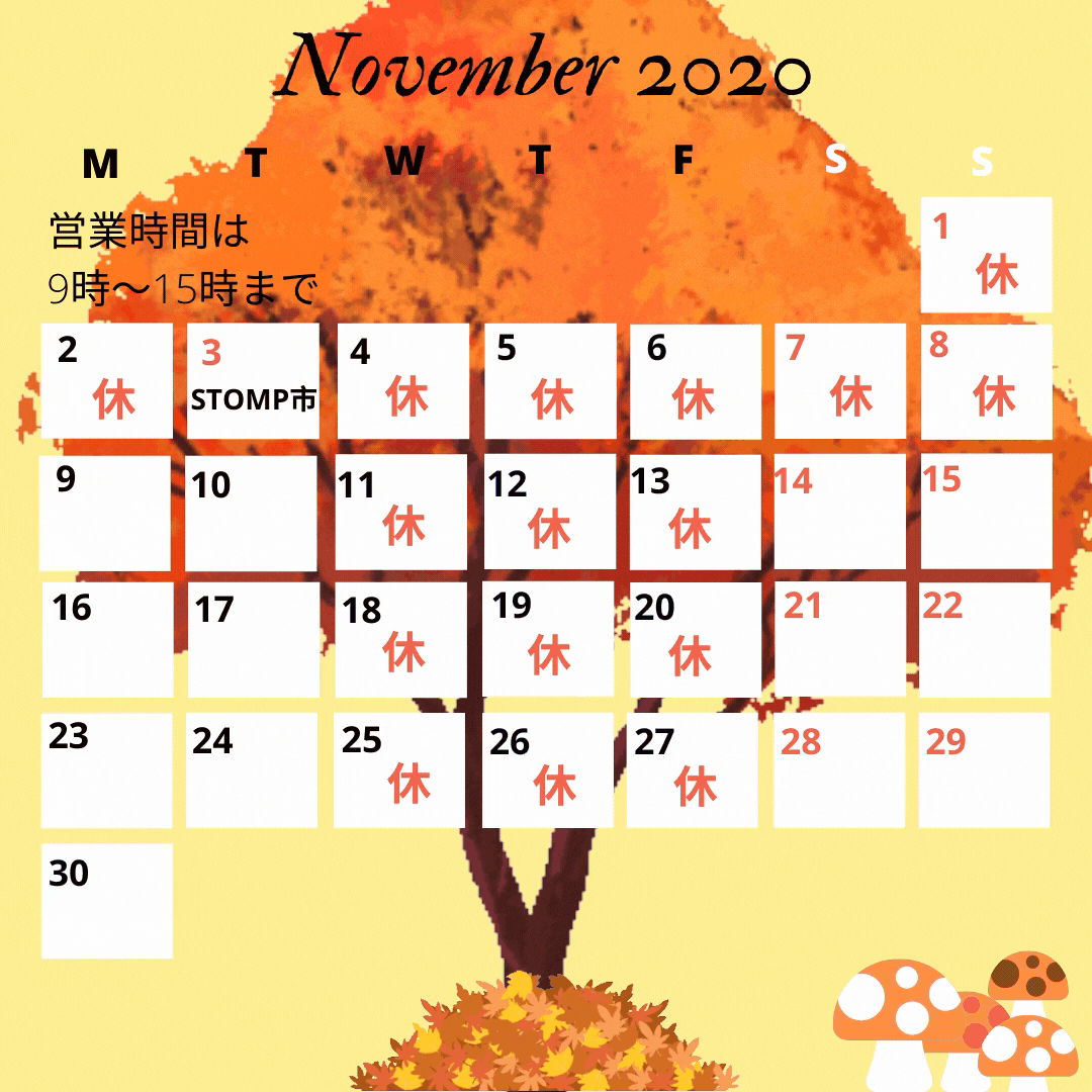 Nov insta.gif