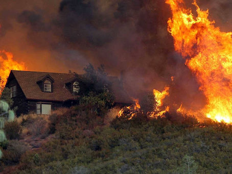 Wildfire Site Inspections: Navigating the Aftermath with Private Investigators