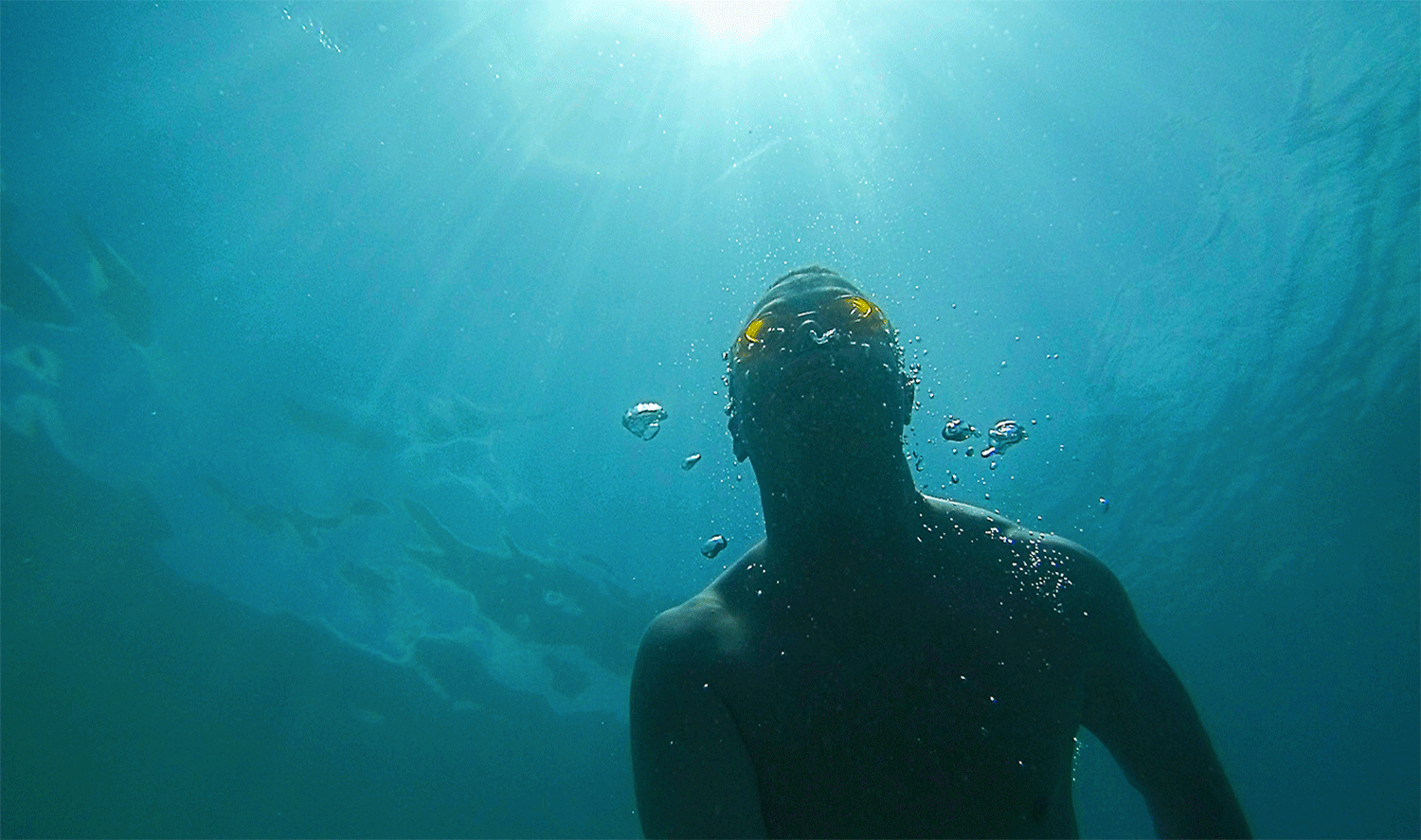 The Great Barrier Reef