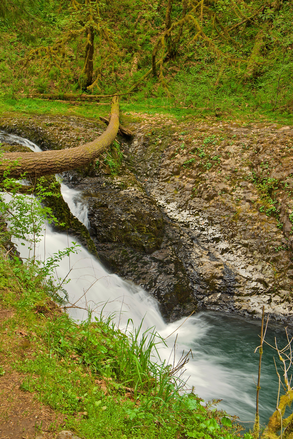 Silver Falls State Park